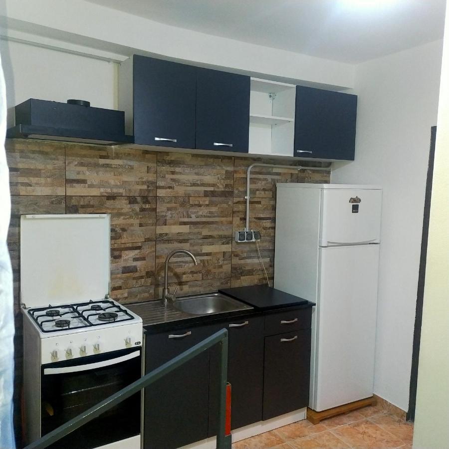 Vila Elena Ap 1 Bucarest Exterior foto