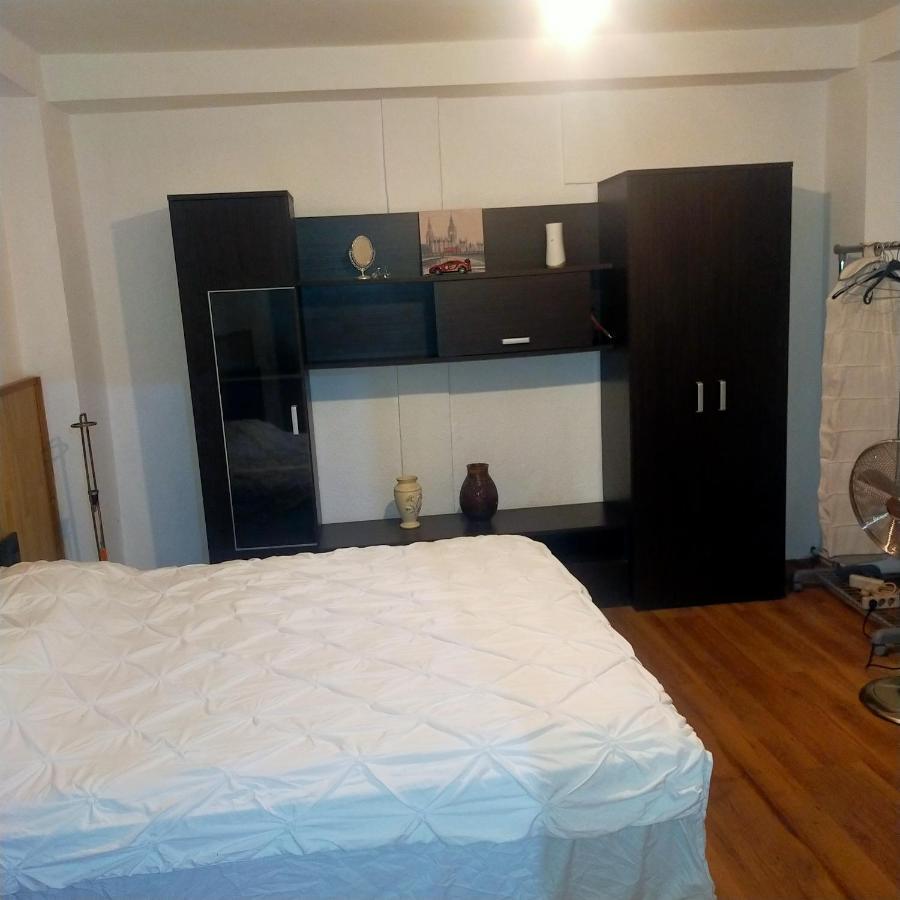 Vila Elena Ap 1 Bucarest Exterior foto